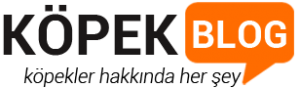 kopek-blog-logo