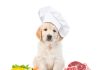 Fiyatı Uygun En Ucuz Köpek Maması 2021