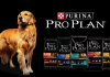 Purina Pro Plan Markası İnceleme