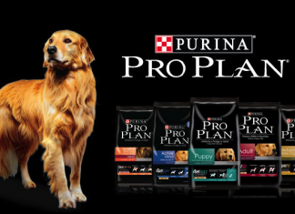 Purina Pro Plan Markası İnceleme