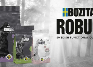 Bozita Köpek Maması Nasıl? Yorumları ve İçerik İncelemesi Bozita Köpek Maması