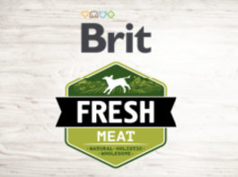 Brit Fresh Köpek Maması