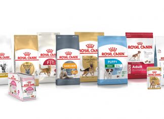 Royal Canin Köpek Maması Markası İnceleme