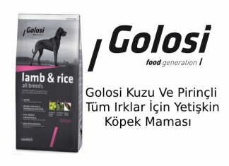 Golosi Kuzu ve Pirinçli Yetişkin Köpek Maması