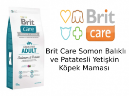 Brit Care Somonlu ve Patatesli Yetişkin Köpek Maması