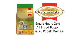 Smart Heart Gold All Breed Puppy Yavru Köpek Maması
