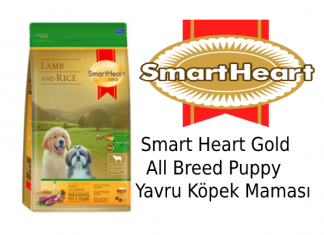 Smart Heart Gold All Breed Puppy Yavru Köpek Maması