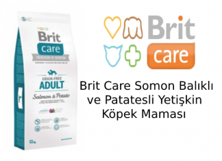 Brit Care Somonlu ve Patatesli Yetişkin Köpek Maması