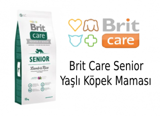 Brit Care Senior Yaşlı Köpek Maması İncelemesi Brit Care Senior Yaşlı Köpek Maması