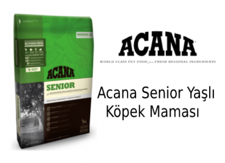 Acana Senior Yaşlı Köpek Maması