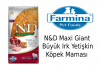 ND Maxi Giant Büyük Irk Yetişkin Köpek Maması