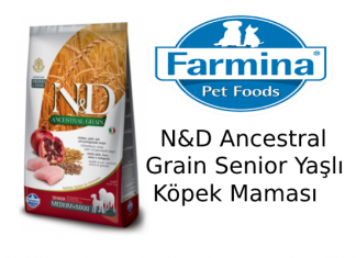 N&D Ancestral Grain Senior Yaşlı Köpek Maması