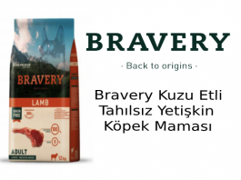 Bravery Kuzu Etli Yetişkin Köpek Maması