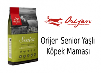 Orijen Senior Yaşlı Köpek Maması