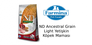 ND Ancestral Grain Light Yetişkin Köpek Maması