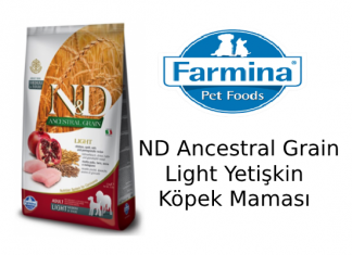 ND Ancestral Grain Light Yetişkin Köpek Maması