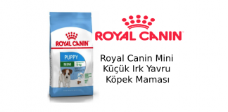 Royal Canin Mini Puppy Küçük Irk Yavru Köpek Maması