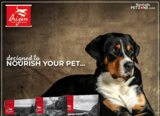 Orijen Köpek Maması Nasıl? Yorumları ve İçerik İncelemesi Orijen Köpek Maması