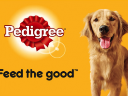 Pedigree Köpek Maması