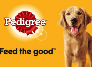 Pedigree Köpek Maması İçerik İncelemesi ve Kullanıcı Yorumları Pedigree Köpek Maması