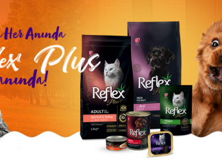 Reflex Köpek Maması İnceleme
