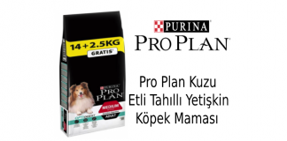 Pro Plan Kuzu Etli Tahıllı Yetişkin Köpek Maması