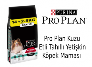 Pro Plan Kuzu Etli Tahıllı Yetişkin Köpek Maması İncelemesi Pro Plan Kuzu Etli Tahıllı Yetişkin Köpek Maması