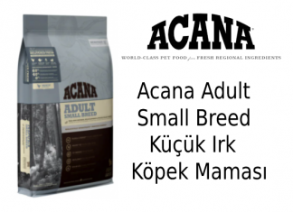 Acana Adult Small Breed Küçük Irk Köpek Maması
