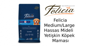 Felicia Medium/Large Hassas Mideli Yetişkin Köpek Maması