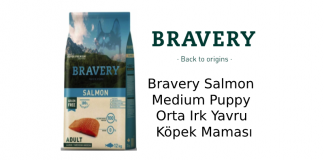 Bravery Salmon Medium Puppy Orta Irk Yavru Köpek Maması