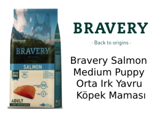 Bravery Salmon Medium Puppy Orta Irk Yavru Köpek Maması İncelemesi Bravery Salmon Medium Puppy Orta Irk Yavru Köpek Maması