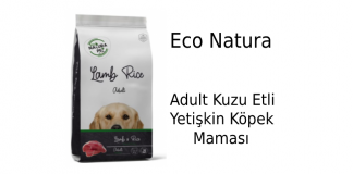 Eco Natura Adult Kuzu Etli Yetişkin Köpek Maması