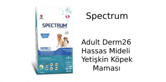 Spectrum Adult Derm26 Hassas Mideli Yetişkin Köpek Maması