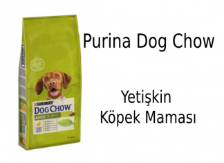 Purina Dog Chow Yetişkin Köpek Maması İncelemesi Purina Dog Chow Yetişkin Köpek Maması