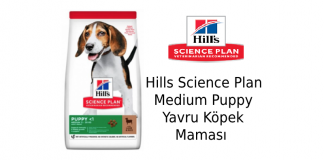 Hills Science Plan Medium Puppy Yavru Köpek Maması