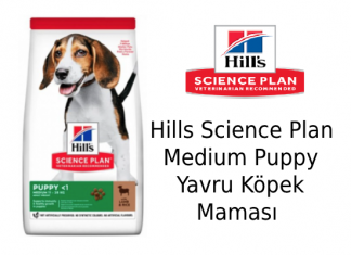 Hills Science Plan Medium Puppy Yavru Köpek Maması