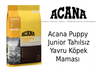 Acana Puppy Junior Tahılsız Yavru Köpek Maması