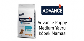 Advance Puppy Medium Yavru Köpek Maması