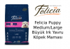 Felicia Puppy Medium/Large Büyük Irk Yavru Köpek Maması İncelemesi Felicia Puppy Medium/Large Büyük Irk Yavru Köpek Maması