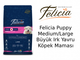 Felicia Puppy Medium/Large Büyük Irk Yavru Köpek Maması