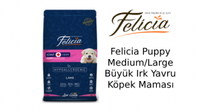Felicia Puppy Medium/Large Büyük Irk Yavru Köpek Maması
