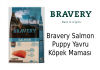 Bravery Salmon Puppy Yavru Köpek Maması