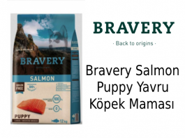 Bravery Salmon Puppy Yavru Köpek Maması
