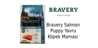 Bravery Salmon Puppy Yavru Köpek Maması