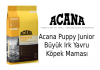 Acana Puppy Junior Büyük Irk Yavru Köpek Maması İncelemesi Acana Puppy Junior Büyük Irk Yavru Köpek Maması