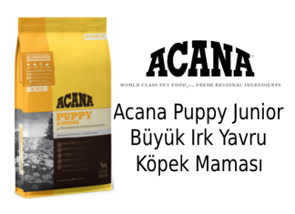 Acana Puppy Junior Büyük Irk Yavru Köpek Maması