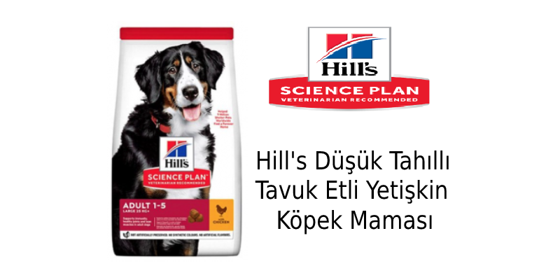 Hills Düşük Tahıllı Tavuk Etli Yetişkin Köpek Maması Nasıl? İnceleme
