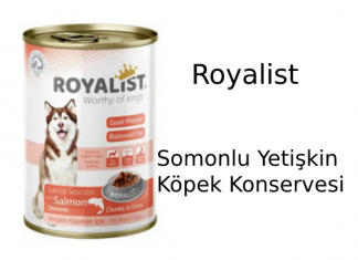 Royalist Somonlu Yetişkin Köpek Konservesi