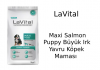 LaVital Maxi Salmon Puppy Büyük Irk Yavru Köpek Maması İncelemesi LaVital Maxi Salmon Puppy Büyük Irk Yavru Köpek Maması