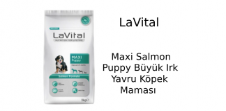 LaVital Maxi Salmon Puppy Büyük Irk Yavru Köpek Maması